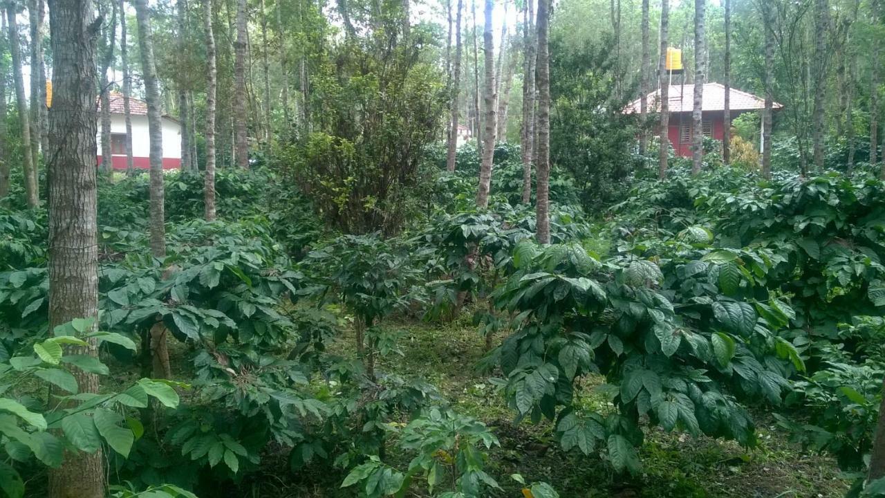 Rai Cottage @ Coorg ,Suntikoppa Exterior foto